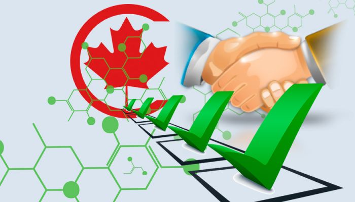 Зарегистрировать партнерство в Канаде нерезиденту: выгодно и недорого