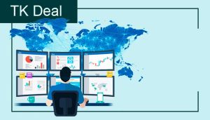 Choice of jurisdiction for registration of an IT company
