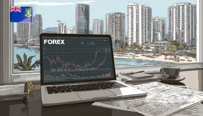 Лицензия Forex – Британские Виргинские Острова (BVI)