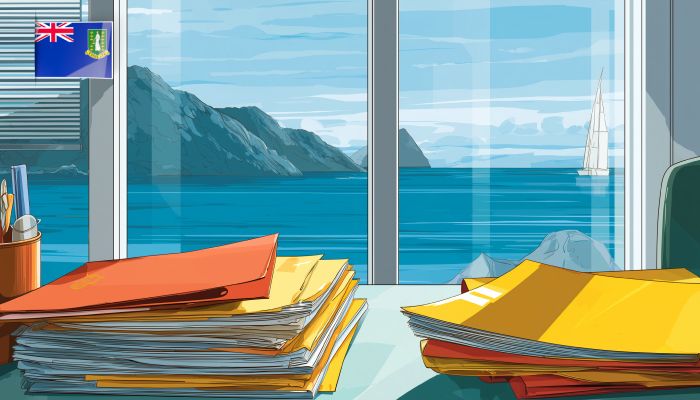 Внесение изменений в компанию на БВО: как обновить данные без нарушения статуса